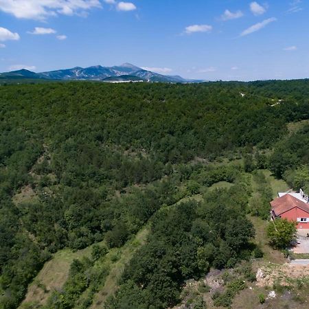 Forest House Silva Hrvace Kültér fotó
